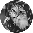 Anita Adams profile picture